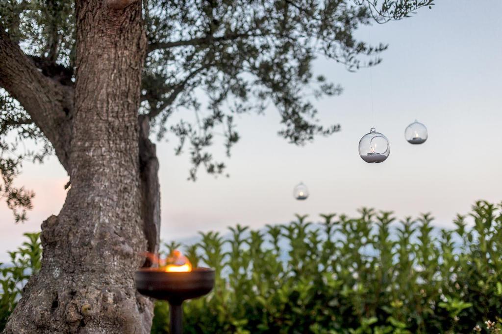 Casale Santa Maria Country House Mosciano SantʼAngelo Dış mekan fotoğraf